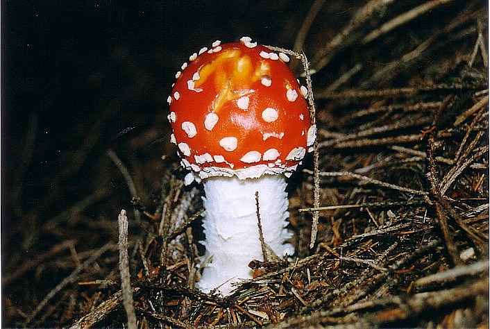 un p� di tempo f� !